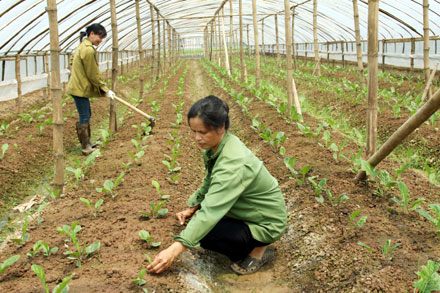 Xuất hiện nhiều điểm sáng