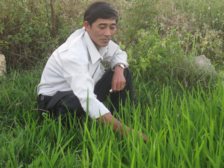 Ông “chạy” vốn cho nông dân