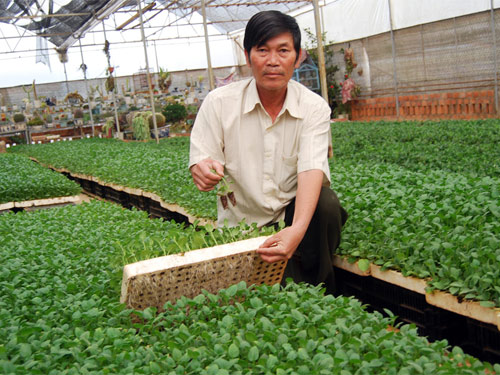 Nông dân công nghệ cao - Kỳ 2: Chuyên gia giống cây trồng