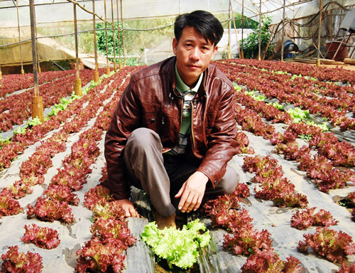 Nông dân công nghệ cao - Kỳ 4: Làm giàu nhờ rau “tử tế”