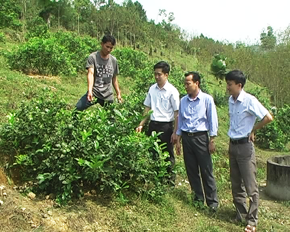 Vũ Quang: Sôi nổi các hoạt động tháng thanh niên 2013