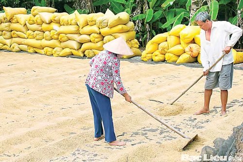 Tăng sức cạnh tranh nông nghiệp