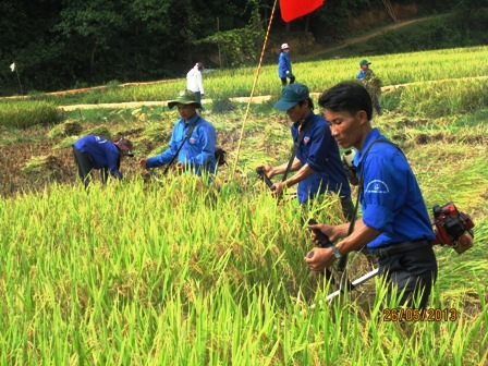 Tuổi trẻ Vũ Quang với chiến dịch thanh niên tình nguyện Hè 2013