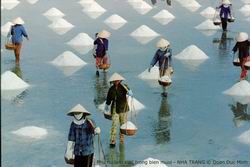 Diêm dân mong được hỗ trợ chuyển đổi nghề