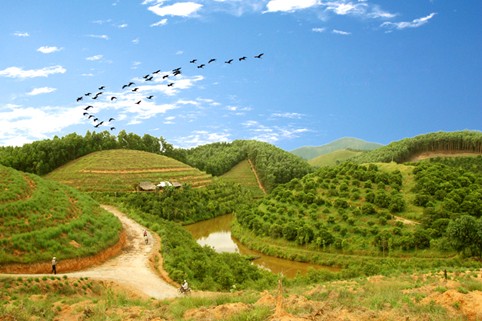 Cho nông thôn thêm khởi sắc