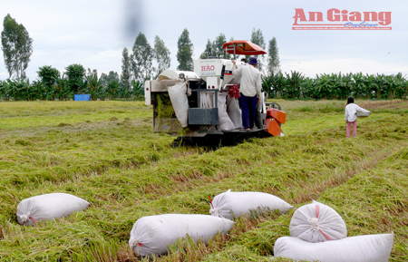 An Giang: Chuyển giao mô hình quản lý thuốc bảo vệ thực vật cho nông dân
