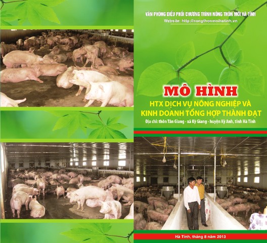 MÔ HÌNH HTX DỊCH VỤ NÔNG NGHIỆP VÀ  KINH DOANH TỔNG HỢP THÀNH ĐẠT