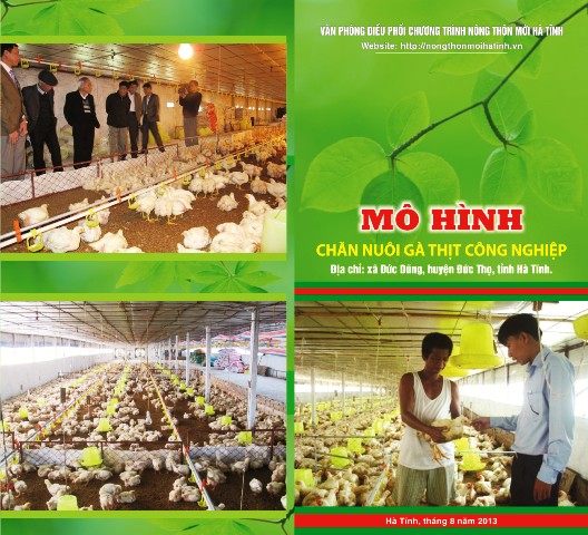 MÔ HÌNH  CHĂN NUÔI GÀ THỊT CÔNG NGHIỆP