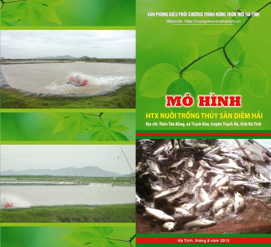 MÔ HÌNH HTX NUÔI TRỒNG THỦY SẢN DIÊM HẢI