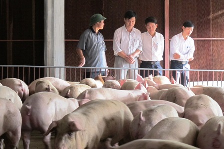 Nghi Xuân (Hà Tĩnh): Nhiều chuyển biến tích cực trong xây dựng nông thôn mới