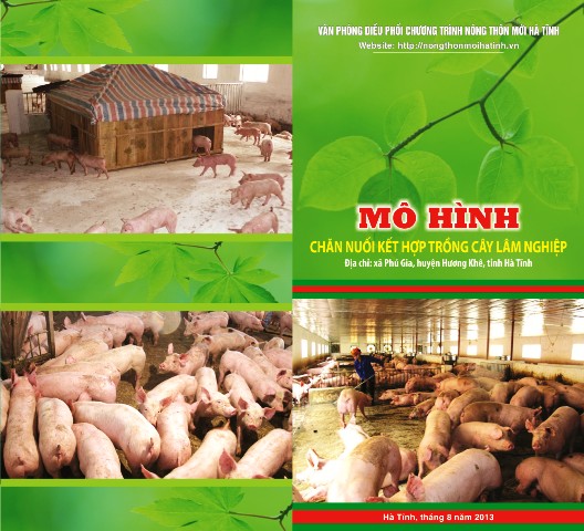 MÔ HÌNH  CHĂN NUỐI KẾT HỢP TRỒNG CÂY LÂM NGHIỆP