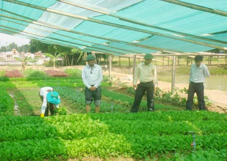 Đảng bộ Yên Hồ tập trung lãnh đạo xây dựng nông thôn mới