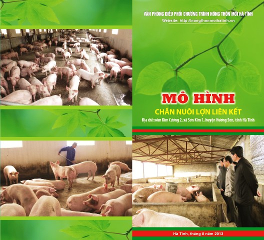 MÔ HÌNH CHĂN NUÔI LỢN LIÊN KẾT