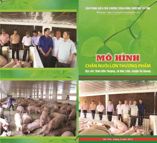 MÔ HÌNH  CHĂN NUÔI LỢN THƯƠNG PHẨM