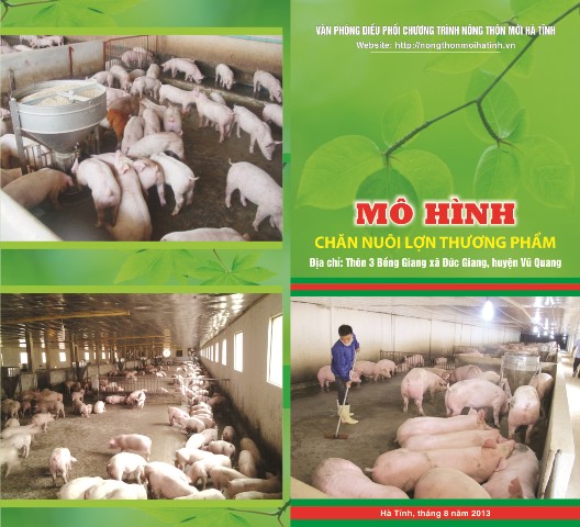 MÔ HÌNH  CHĂN NUÔI LỢN THƯƠNG PHẨM