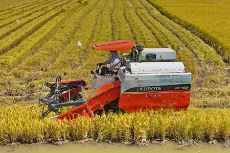 Nguyên Phó Thủ tướng Nguyễn Công Tạn: Phải chủ động giảm diện tích đất lúa