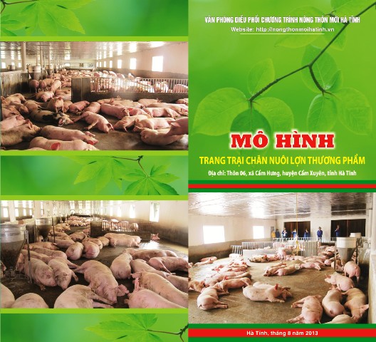 MÔ HÌNH  TRANG TRẠI CHĂN NUÔI LỢN THƯƠNG PHẨM