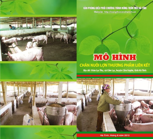 MÔ HÌNH  CHĂN NUÔI LỢN THƯƠNG PHẨM LIÊN KẾT