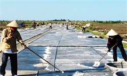 Kỳ Anh: Trên 75% lao động nông thôn được đào tạo nghề, có việc làm thường xuyên