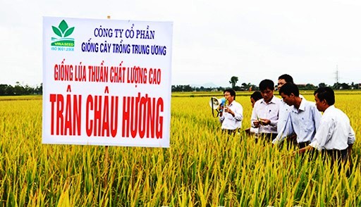 Tăng sức cạnh tranh cho sản phẩm nông nghiệp
