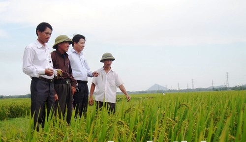 Hướng nông dân sản xuất bền vững