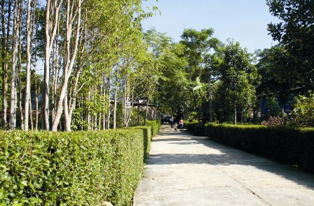 Tập huấn, triển khai xây dựng khu dân cư mẫu tại thôn Châu Trinh