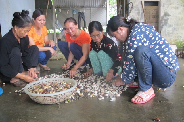 Đồng hành cùng nông nghiệp, nông thôn và nông dân