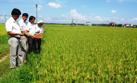 Nhân dân làm nên diện mạo mới về nông thôn Cẩm Bình