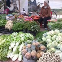 Xe rau của nông dân không mua nổi cân thịt bò ngày Tết
