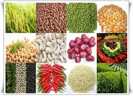 Tổng quan thị trường nông sản tuần đến ngày 20/1/2014