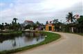Xử lý nghiêm nếu chạy theo thành tích