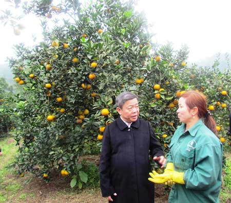 Hà Tĩnh: Giàu lên nhờ nông thôn mới