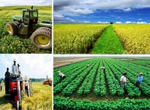 ĐBSCL: Gần 92 tỷ đồng đầu tư xây dựng nông thôn mới