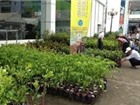 Miễn thuế nhập khẩu với nguyên liệu, vật tư sản xuất nông nghiệp