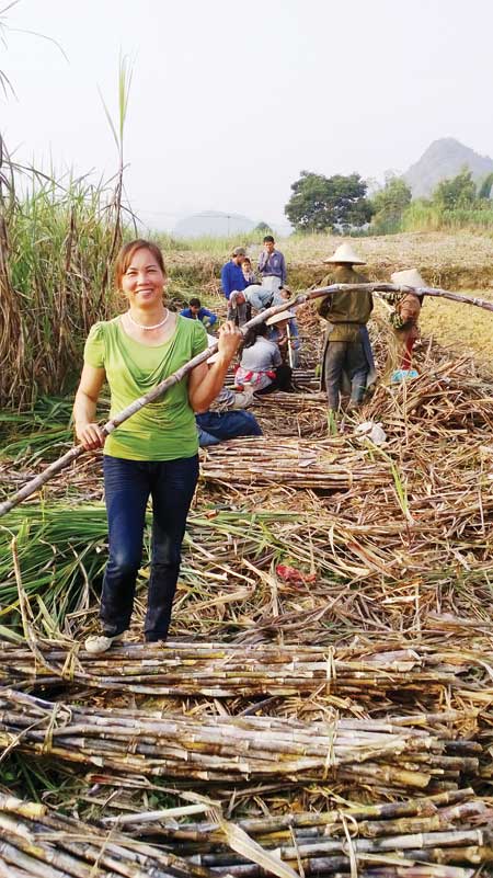“Chị Thanh Tâm” của bản