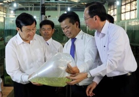 Chủ tịch nước thăm, chúc Tết xã nông thôn mới