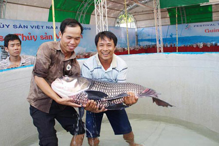 Tổ chức Festival Thủy sản Việt Nam tại Phú Yên