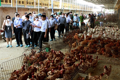 Cả nước tập trung phòng chống dịch: Dựng “tường lửa” ở chợ Hà Vỹ