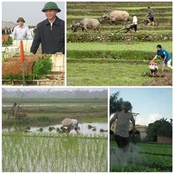 Nông dân nô nức xuống đồng khai xuân