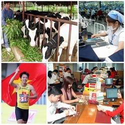 Chính sách mới có hiệu lực từ tháng 2/2014