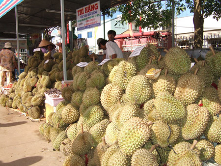 Khách hàng ngoại chuộng trái cây Đồng Nai