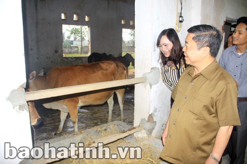 Phát huy lợi thế riêng có của từng địa phương để phát triển kinh tế, nâng cao thu nhập