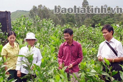 Phát huy hiệu quả các nguồn viện trợ phi chính phủ
