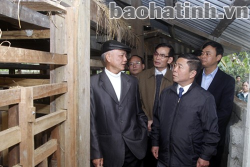 Hương Khê cần chuyển mạnh kinh tế theo hướng chăn nuôi quy mô lớn
