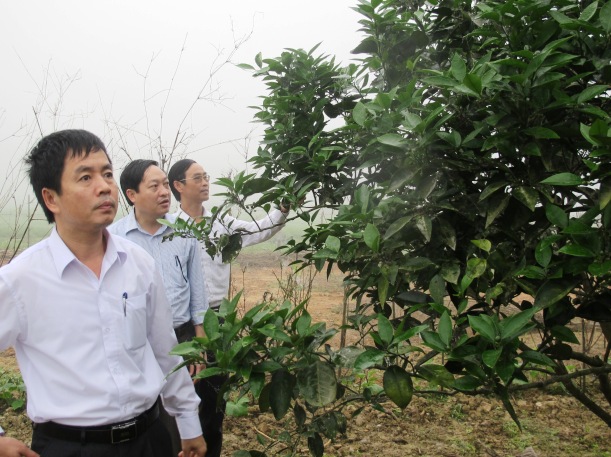 Quang Lộc cần tập trung lãnh đạo, chỉ đạo đạt chuẩn NTM vào cuối năm 2015