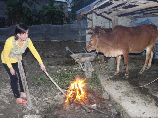 Đông Bắc Bộ sắp đón đợt rét đậm, vùng núi có rét hại
