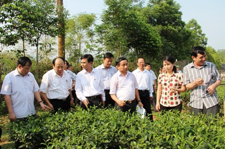 Xây dựng Khu dân cư kiểu mẫu là nội dung thiết thực trong xây dựng nông thôn mới