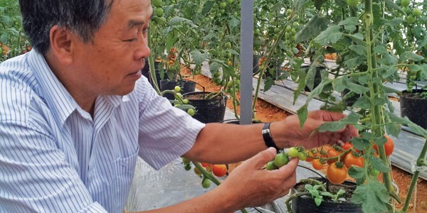 Tái khởi nghiệp năm 43 tuổi