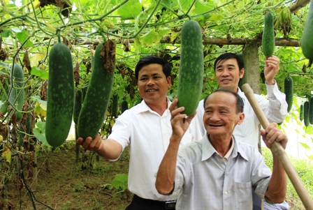 Xây dựng NTM ở Cẩm Bình: Cuộc "cách mạng" mới bắt đầu