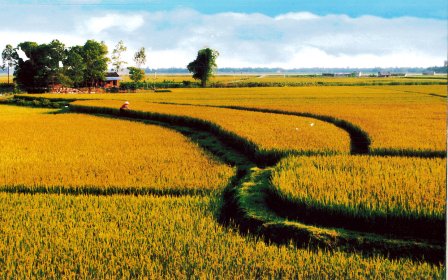Cần tổ chức lại thị trường tiêu thụ sản phẩm cho nông dân